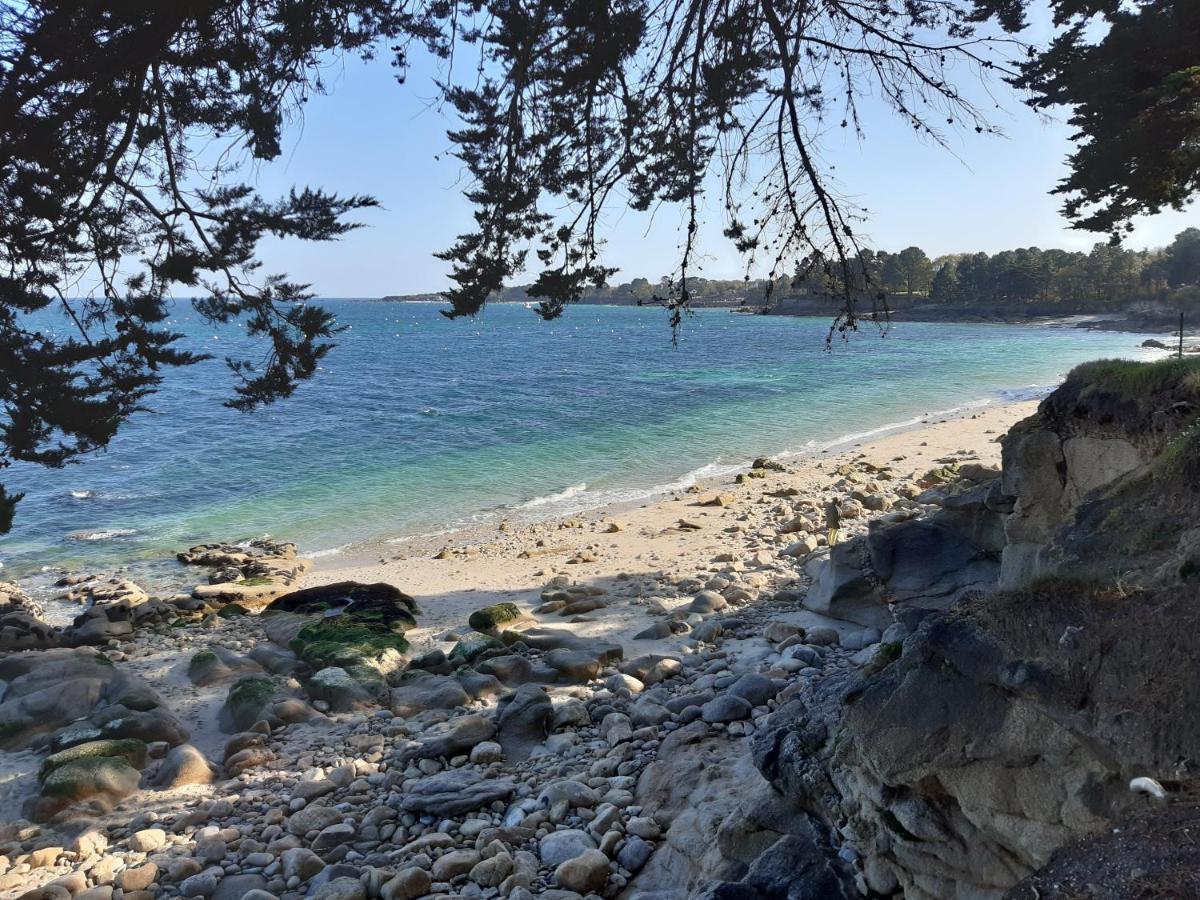 Agape, Elegant T2, 4 Etoiles, Plage Et Gr34 3Km, Centre Ville 750M Fouesnant Bagian luar foto
